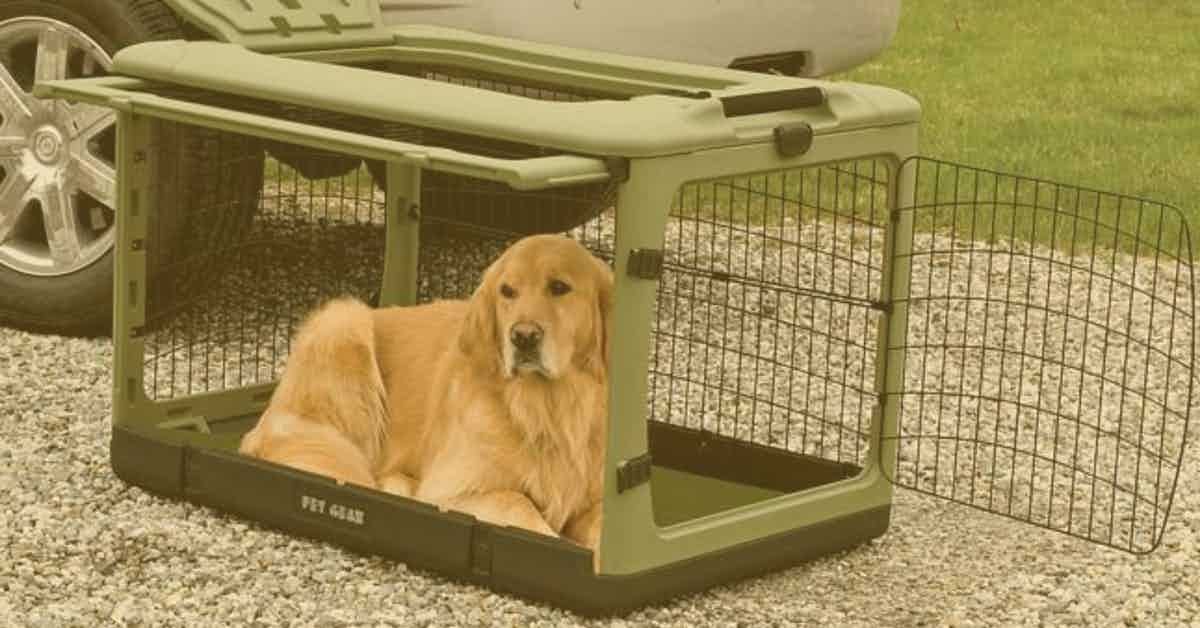 Portable Dog Crates
