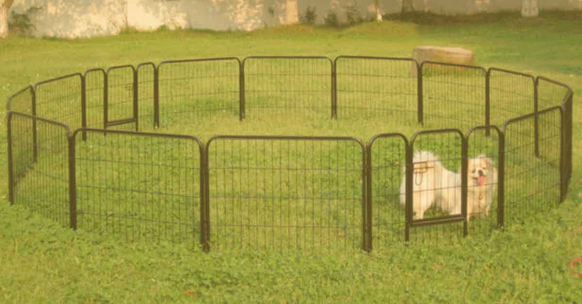 Portable Dog Fences for RV